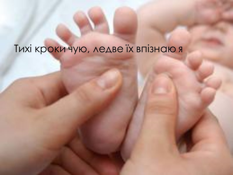 Тихі кроки чую, ледве їх впізнаю я